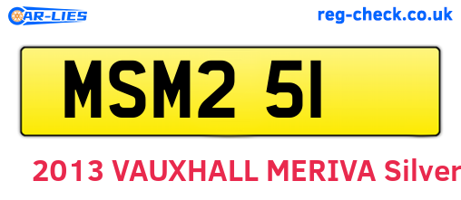 MSM251 are the vehicle registration plates.