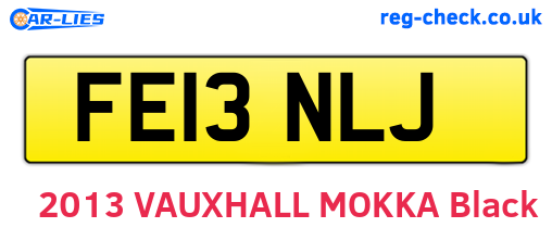 FE13NLJ are the vehicle registration plates.