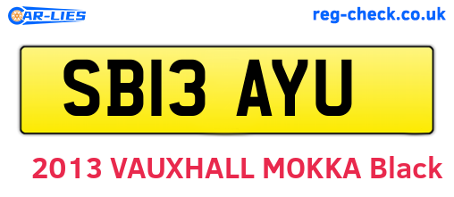 SB13AYU are the vehicle registration plates.