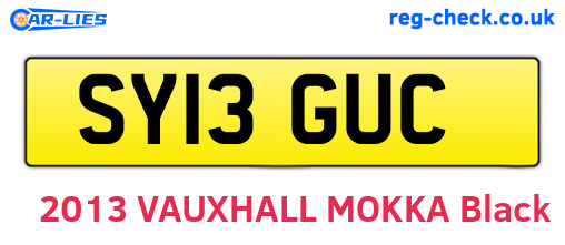 SY13GUC are the vehicle registration plates.