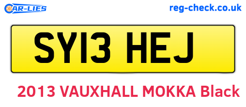 SY13HEJ are the vehicle registration plates.