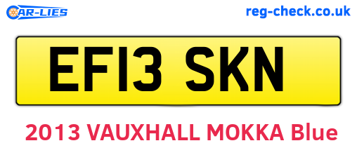 EF13SKN are the vehicle registration plates.