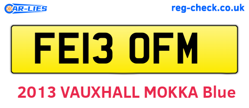 FE13OFM are the vehicle registration plates.