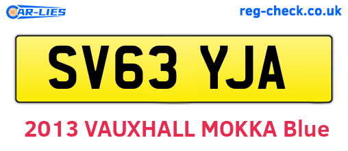 SV63YJA are the vehicle registration plates.