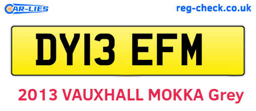 DY13EFM are the vehicle registration plates.