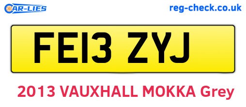 FE13ZYJ are the vehicle registration plates.