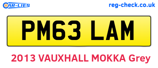PM63LAM are the vehicle registration plates.