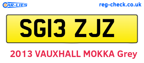 SG13ZJZ are the vehicle registration plates.