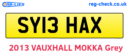 SY13HAX are the vehicle registration plates.