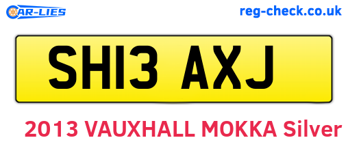 SH13AXJ are the vehicle registration plates.