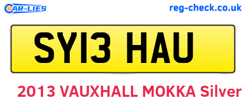 SY13HAU are the vehicle registration plates.