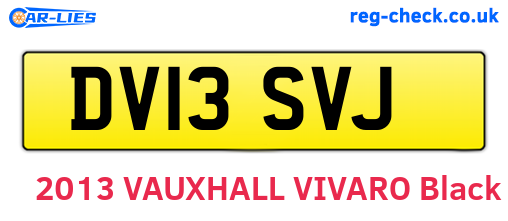 DV13SVJ are the vehicle registration plates.
