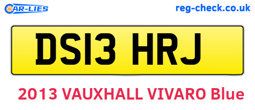 DS13HRJ are the vehicle registration plates.