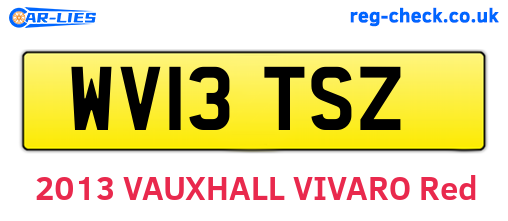 WV13TSZ are the vehicle registration plates.