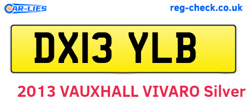 DX13YLB are the vehicle registration plates.
