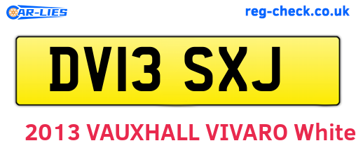 DV13SXJ are the vehicle registration plates.
