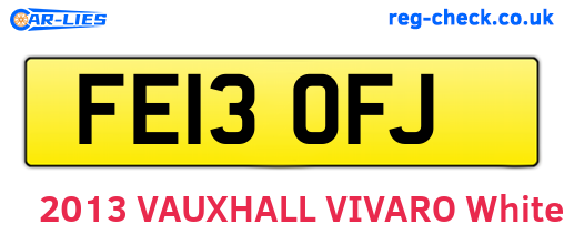 FE13OFJ are the vehicle registration plates.