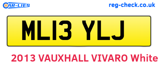 ML13YLJ are the vehicle registration plates.