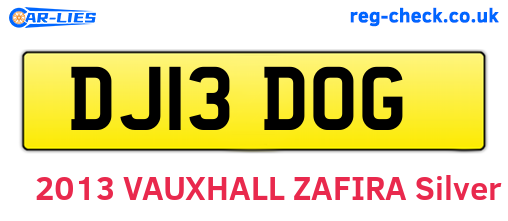 DJ13DOG are the vehicle registration plates.