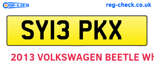 SY13PKX are the vehicle registration plates.