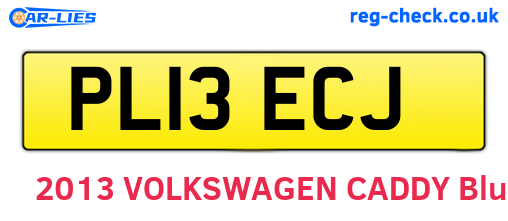 PL13ECJ are the vehicle registration plates.