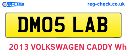 DM05LAB are the vehicle registration plates.