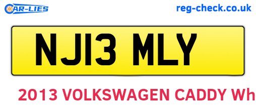 NJ13MLY are the vehicle registration plates.
