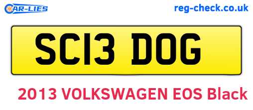 SC13DOG are the vehicle registration plates.