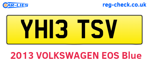 YH13TSV are the vehicle registration plates.