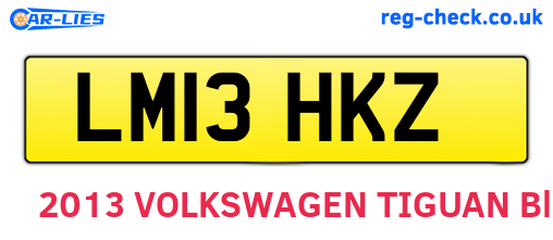 LM13HKZ are the vehicle registration plates.