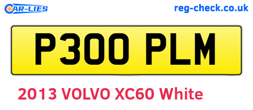P300PLM are the vehicle registration plates.