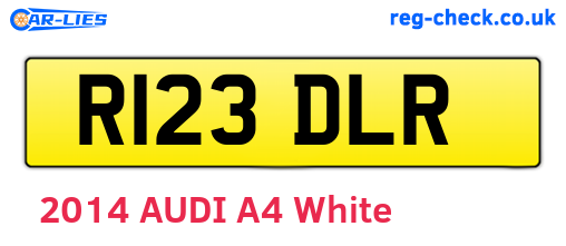 R123DLR are the vehicle registration plates.