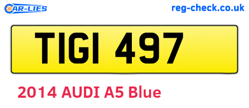 TIG1497 are the vehicle registration plates.