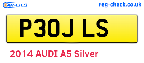 P30JLS are the vehicle registration plates.