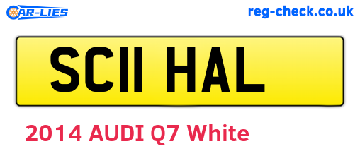 SC11HAL are the vehicle registration plates.