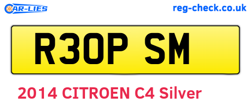 R30PSM are the vehicle registration plates.