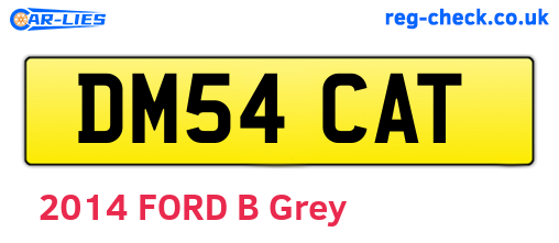 DM54CAT are the vehicle registration plates.