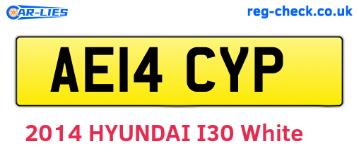 AE14CYP are the vehicle registration plates.