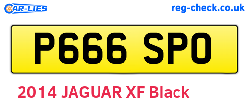P666SPO are the vehicle registration plates.