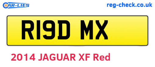 R19DMX are the vehicle registration plates.