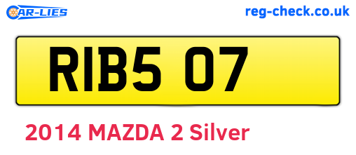 RIB507 are the vehicle registration plates.
