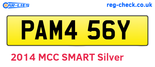PAM456Y are the vehicle registration plates.
