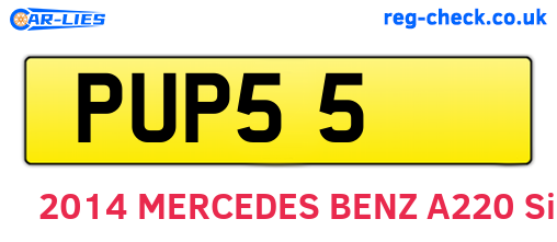 PUP55 are the vehicle registration plates.