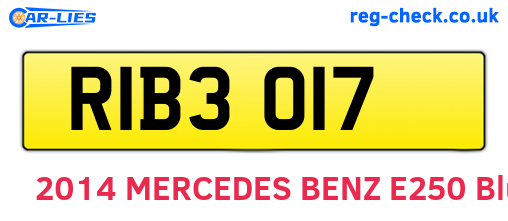 RIB3017 are the vehicle registration plates.