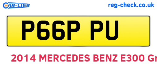 P66PPU are the vehicle registration plates.