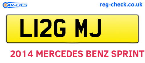 L12GMJ are the vehicle registration plates.
