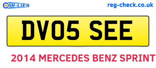 DV05SEE are the vehicle registration plates.