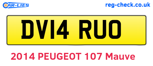 DV14RUO are the vehicle registration plates.