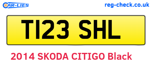 T123SHL are the vehicle registration plates.