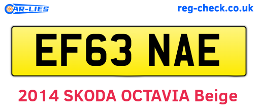 EF63NAE are the vehicle registration plates.